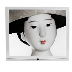 19" shelf edge display