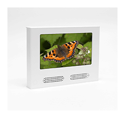 7" shelf edge display